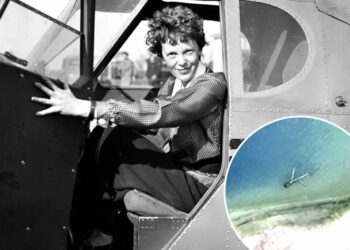 Expedition to find Amelia Earhart’s lost plane continues in giant man-eating crab-infested lagoon