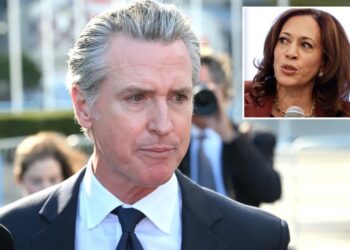 Gavin Newsom to parachute back into New Hampshire ahead of midterm elections