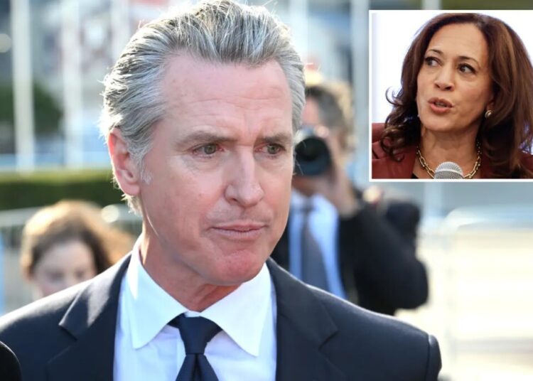 Gavin Newsom to parachute back into New Hampshire ahead of midterm elections
