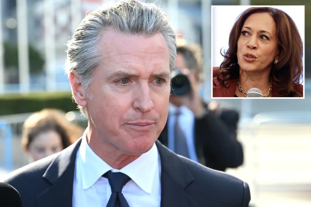 Gavin Newsom to parachute back into New Hampshire ahead of midterm elections