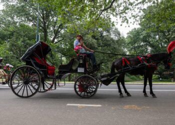 New York City is set to ban horse-drawn carriages