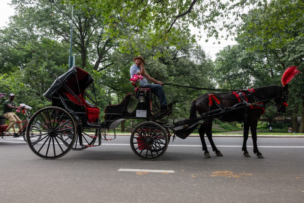 New York City is set to ban horse-drawn carriages