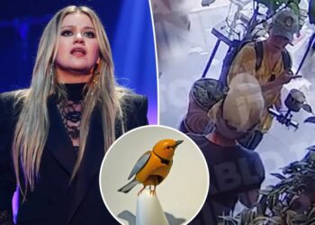 Security footage shows Kelly Clarkson interaction at Brooklyn store where viral dispute over mechanical singing bird occurred