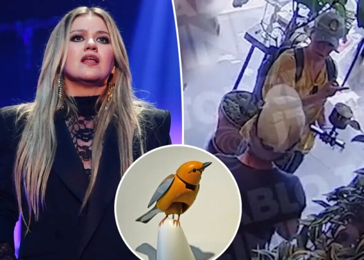 Security footage shows Kelly Clarkson interaction at Brooklyn store where viral dispute over mechanical singing bird occurred