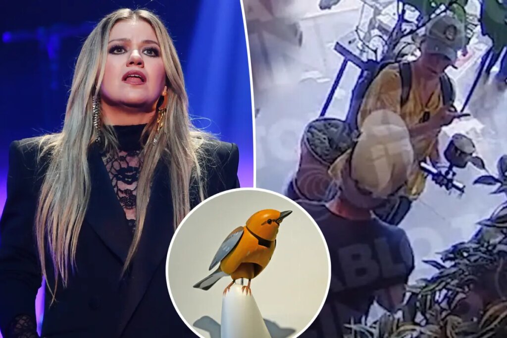Security footage shows Kelly Clarkson interaction at Brooklyn store where viral dispute over mechanical singing bird occurred