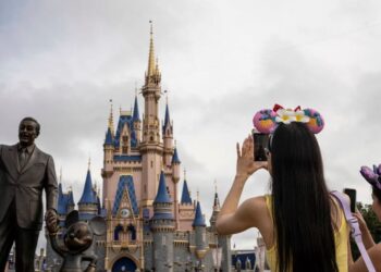 In Defense of the Disney Adult