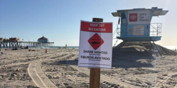 ‘Aggressive’ great white shark seen in waters off Huntington Beach. Keep out, officials say