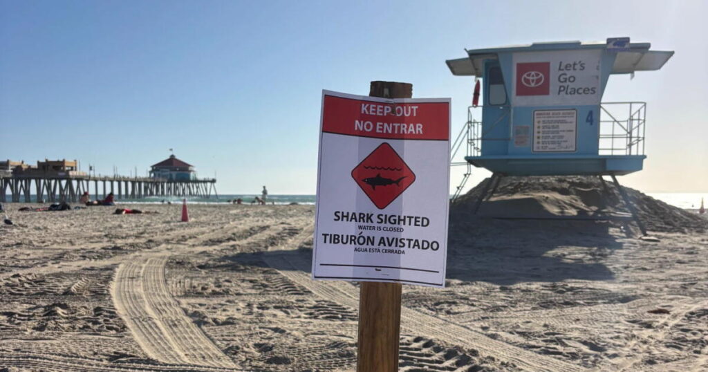 ‘Aggressive’ great white shark seen in waters off Huntington Beach. Keep out, officials say