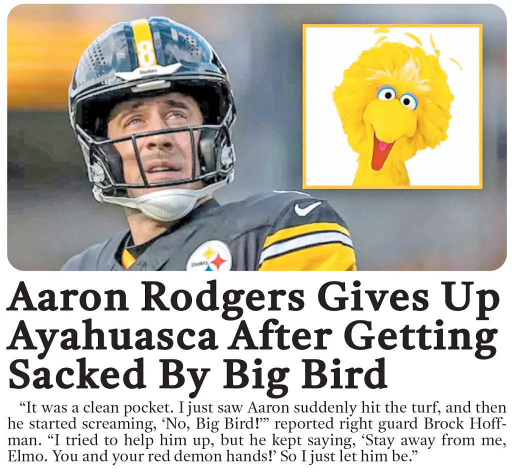 Collage of Aaron Rodgers in a Steelers uniform and Big Bird from Sesame Street, accompanying a satirical news headline about Rodgers giving up ayahuasca after getting sacked by Big Bird.