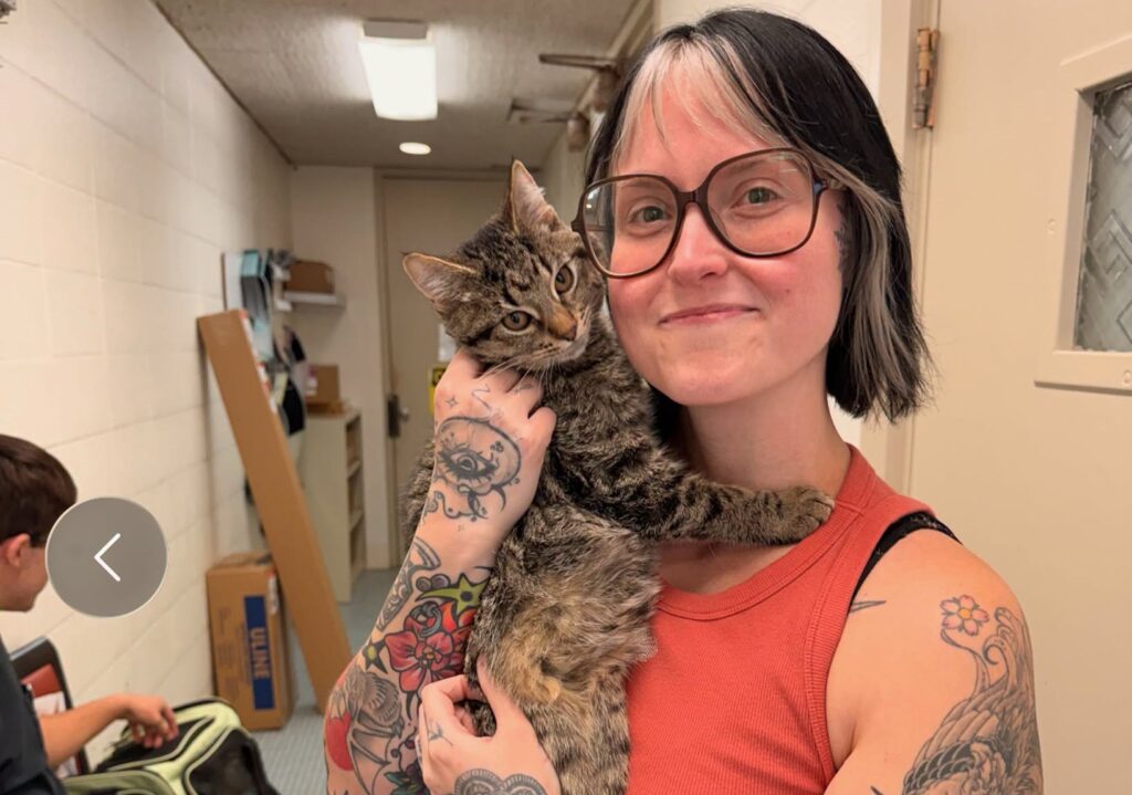 Injured kitten with a wheelchair made from toy cars gets adopted