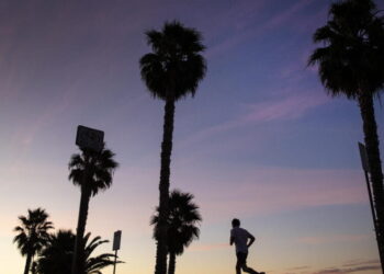 Westside particularly vulnerable as powerful Santa Ana winds bring fire danger, experts say