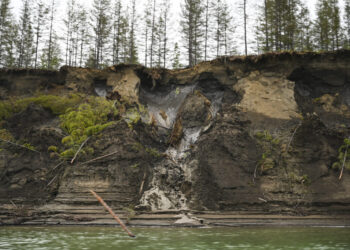 Dangerous pathogens have lurked for millennia in Russia’s frozen lands