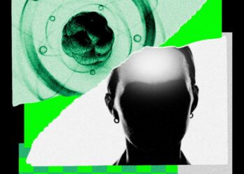 AI Came for Math. Now It’s Chasing the Rest of Science