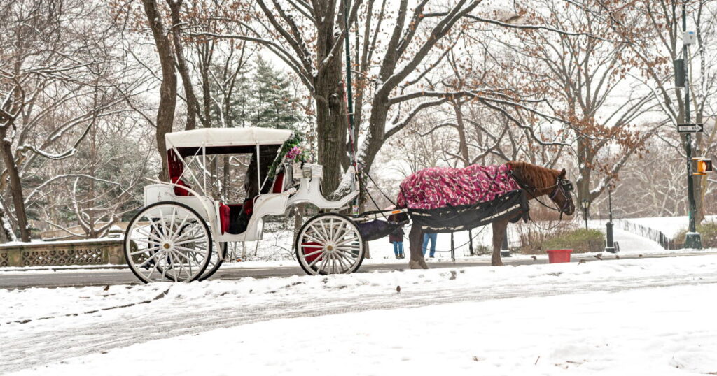 New York to ban Central Park’s horse-drawn carriages after teen’s death
