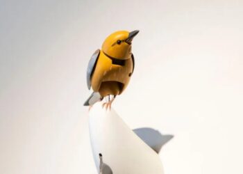 The Toy Store, and $15 Million Bird, at the Center of an Internet Frenzy