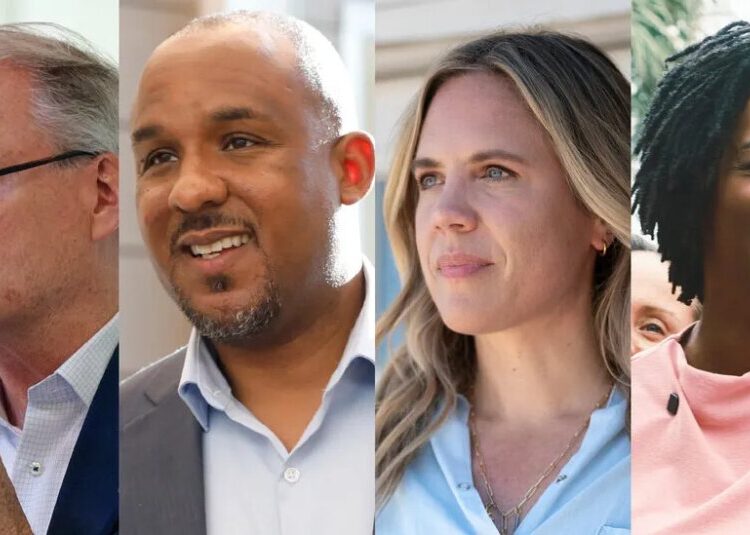 Democratic Donor Emerges to Blitz Red-State Senate Races With Late Ads