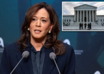 Kamala Harris calls for packing Supreme Court, ‘changing’ Electoral College if Dems take back congress