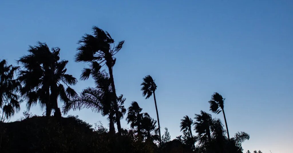 Strong Winds Prompt Wildfire Warnings for Millions in California