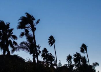 Strong Winds Prompt Wildfire Warnings in California