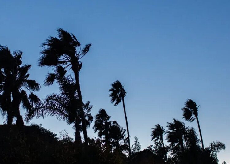 Strong Winds Prompt Wildfire Warnings in California