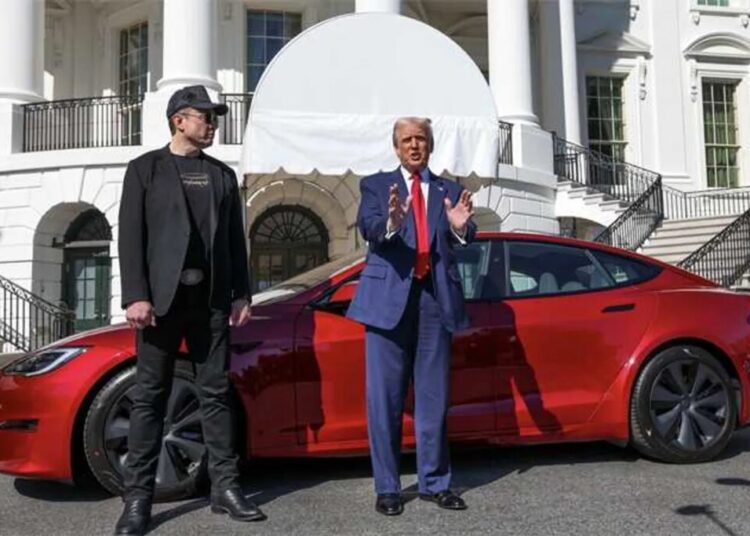 Musk spending a fortune to clean up Trump’s ‘train wreck they all saw coming’ in red state