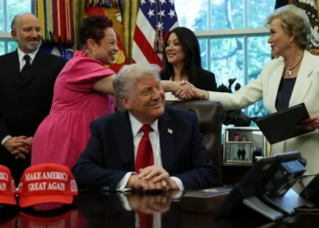Chaos engulfs Education Dept over Trump’s ‘cartoon’ student loans plan: report