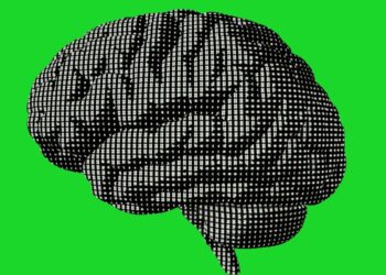 Human Judgement Is the Most Powerful Technology in the AI Age