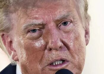 ‘C’mon man’: ‘Sweating too much’ Trump walloped on MS NOW for pushing obvious lie