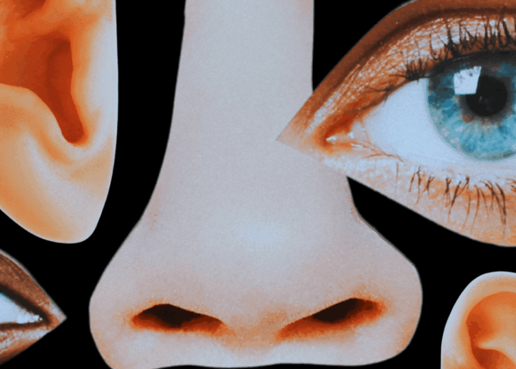 12 Symptoms ENT Doctors Say Never to Ignore