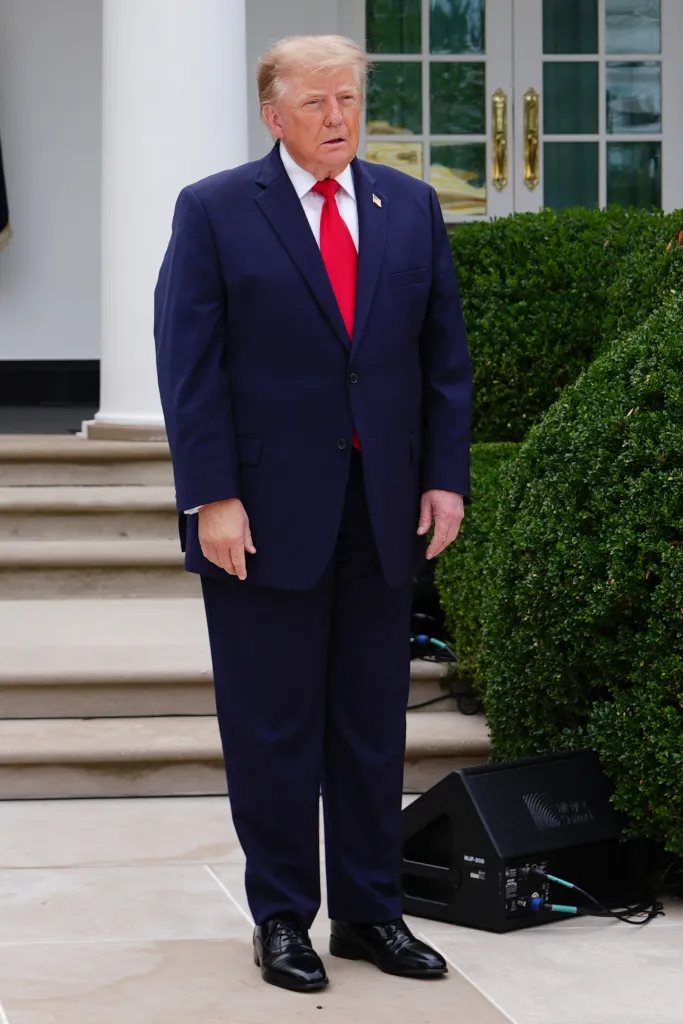 President Donald Trump stands in the Rose Garden of the White House.