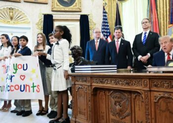 Innovation Accounts should do for the potential AI job wipeout what Trump Accounts did for children