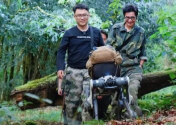 Jungle Research Expedition Using Robot Dog Like a Pack Mule