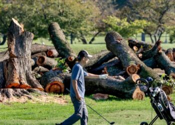 Trump to close historic DC golf course for 15 months of renovations, citing ‘disease infested trees,’ despite judge’s order to halt development plans