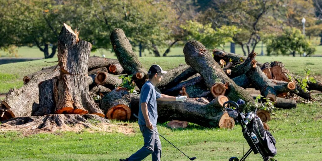 Trump to close historic DC golf course for 15 months of renovations, citing ‘disease infested trees,’ despite judge’s order to halt development plans