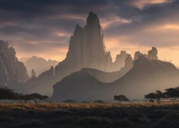 Winners of the 2026 Epson International Pano Awards