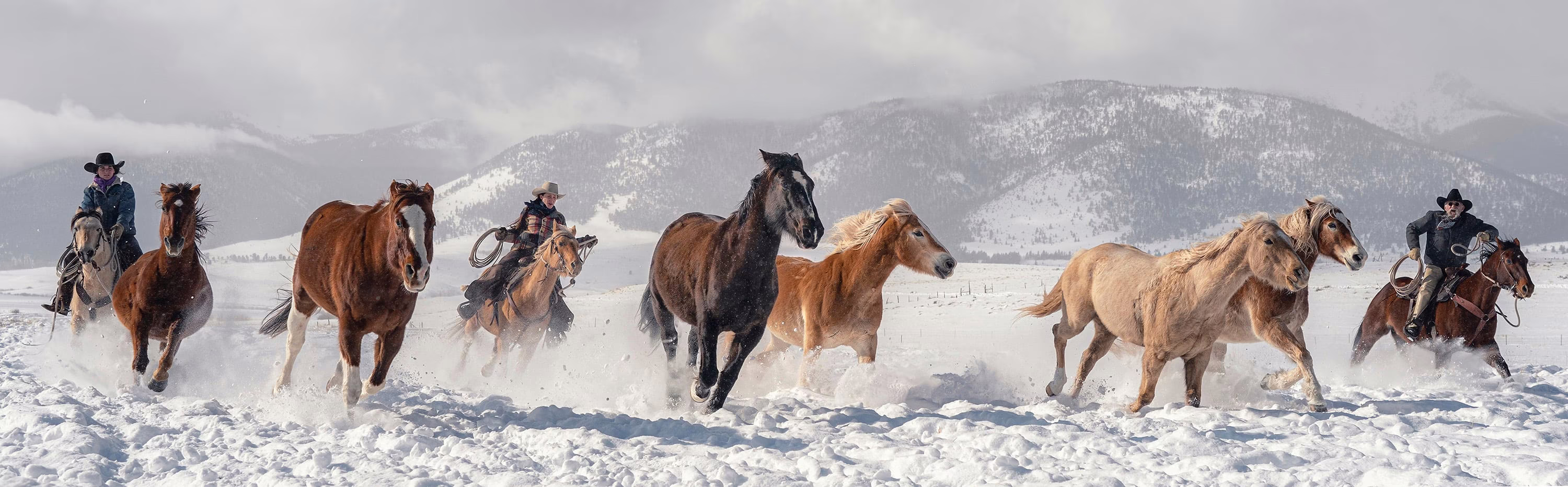 Three ranchers on horseback drive a small herd of horses across a snowy field with mountains in the background.