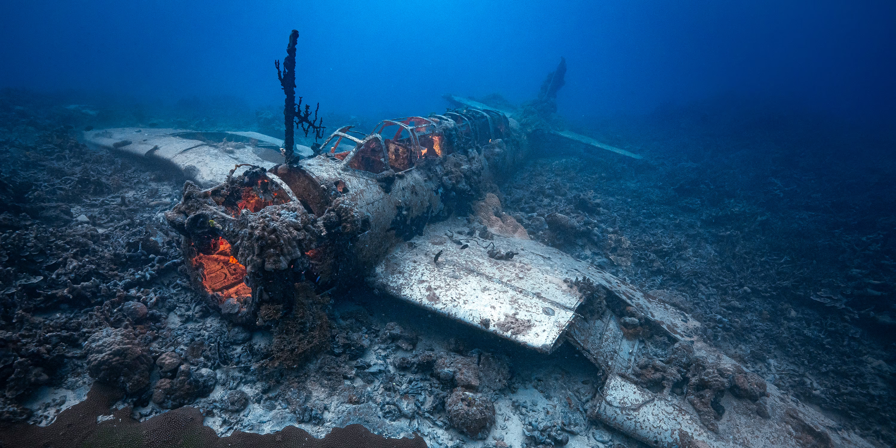 A World-War-II-era military aircraft wreck at the bottom of the ocean