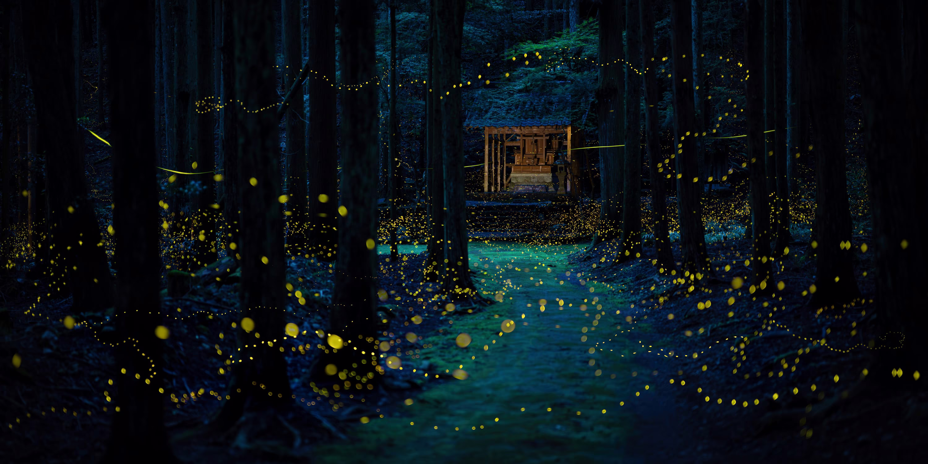 A long-exposure image of fireflies dotting the forest near a small Japanese shrine