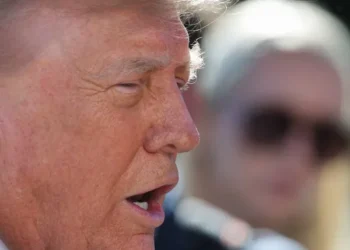 ‘Vociferous’ Trump fan ensnared in president’s own voter fraud crackdown: report