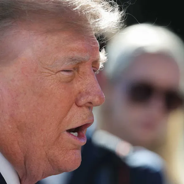 ‘Vociferous’ Trump fan ensnared in president’s own voter fraud crackdown: report