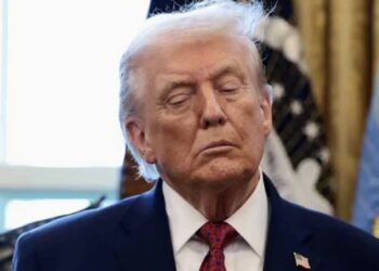 Rough start for Trump’s fraud hotline as it ‘instantly backfires’: report