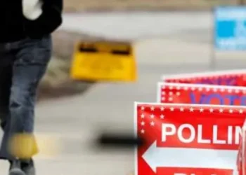 Horror as another suspect polling firm vanishes amid scrutiny: ‘Major scandal’