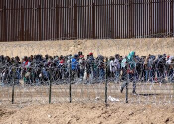 Trump Admin to Blast Immigrants With Heat-Ray Gun