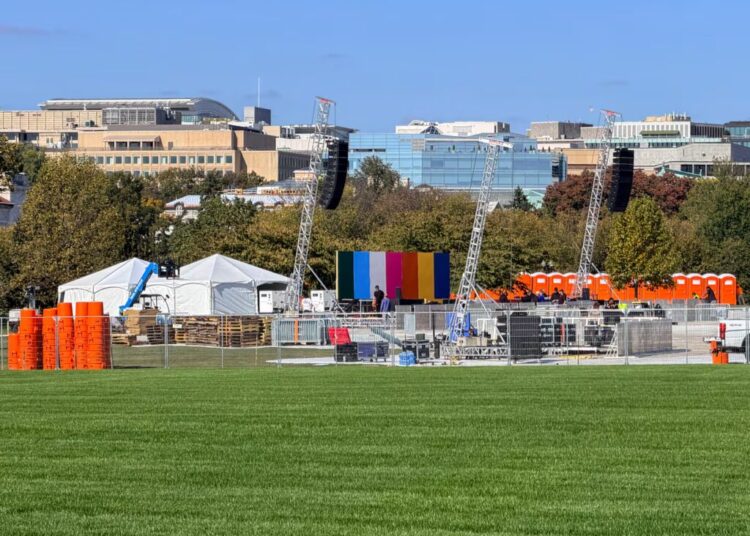 The Turnstile show on the Mall could draw the biggest punk crowd in decades
