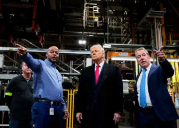 Trump’s ‘chaos monkey’ reputation putting economy’s future at risk: expert