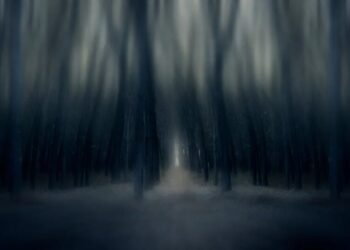 We Investigated Character.AI and Found a Horror Show. Now It’s Bankrupt.
