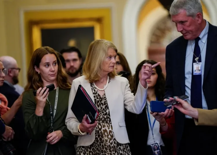 GOP senator blows Trump-ordered election lawsuit out of water: ‘Should never have filed’