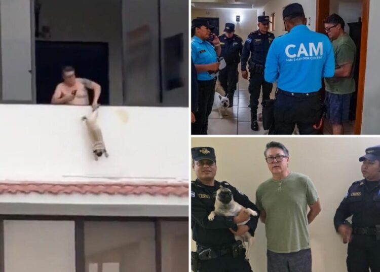 Ex-soccer player arrested for allegedly dangling pug by leg off balcony