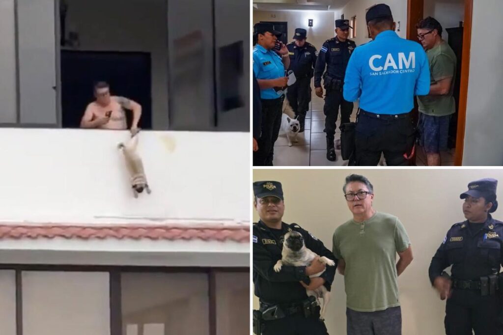 Ex-soccer player arrested for allegedly dangling pug by leg off balcony