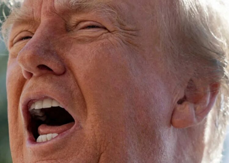 ‘They never talk about my crowd!’: Trump seethes over Obama’s rally for Michigan Dem